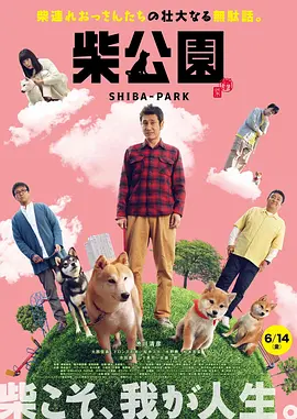 少妇激情视频一二三区