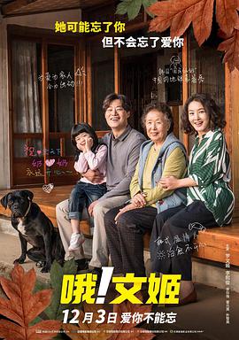 骚片视频