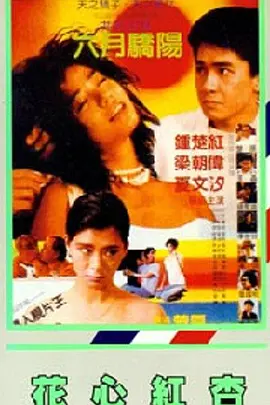 视频伦理