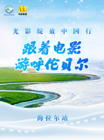 ntr什么缩写