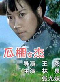 久久久久亚洲精品影视