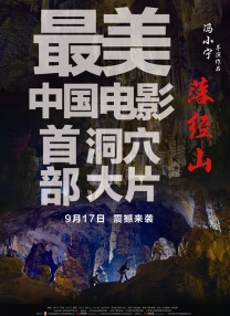成年人电影网站