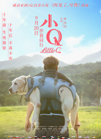 369看片你懂的在线观看