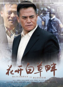 日本成人不卡视频