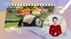 桃乃木香奈强制高潮狂捏
